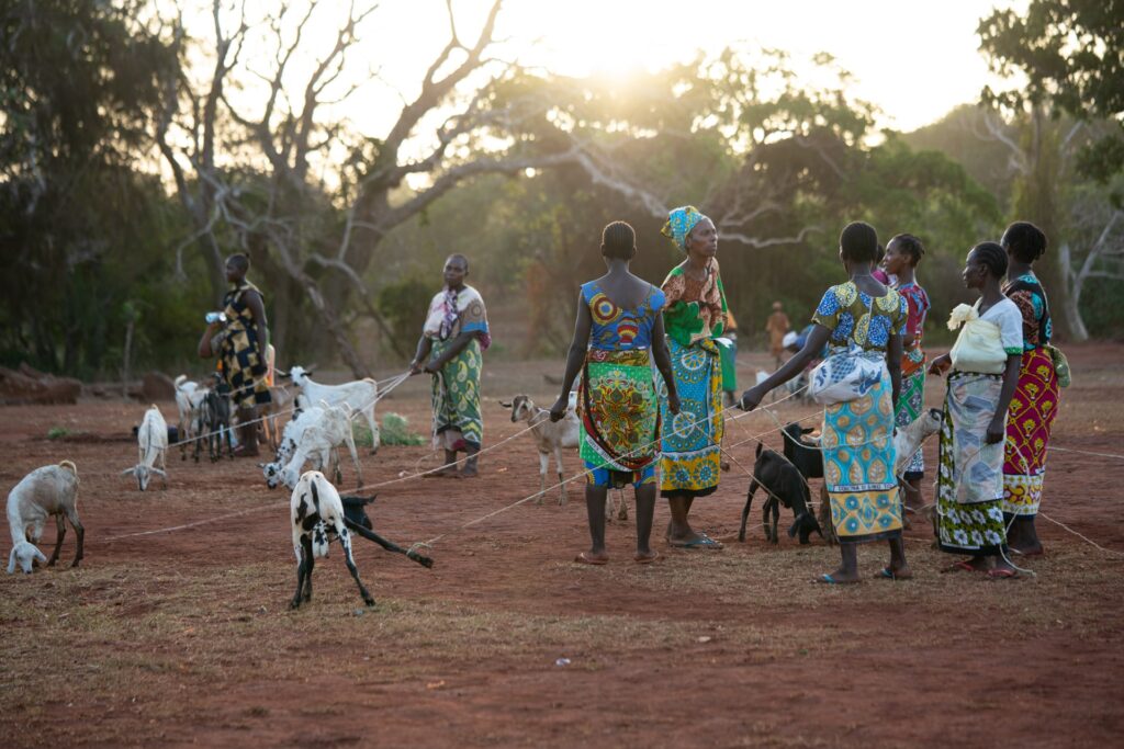 Beekeeping initiative